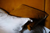 Brown and white pillowcases laying on a bed.