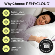 Why choose RemyCloud