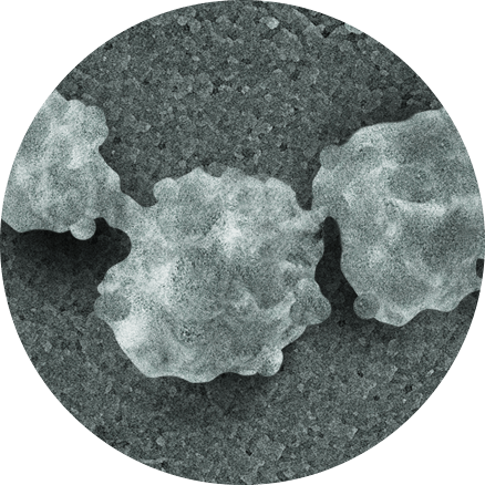 a close-up of the moon